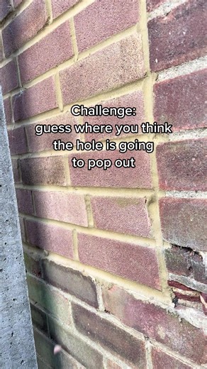 How to Remove Screws from Brick Walls