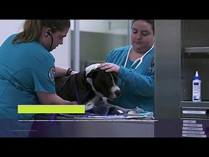 Meet the Campus: ACC Elgin