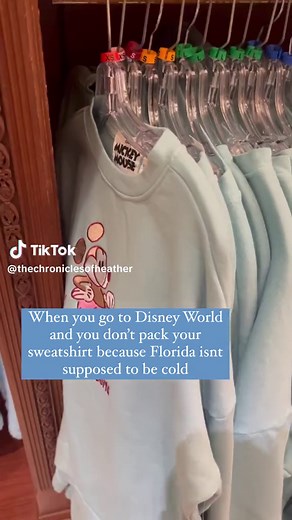 The Chronicles of Heather on TikTok