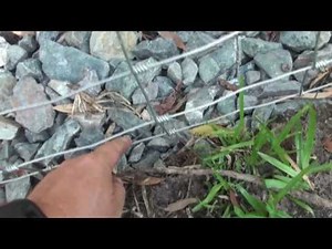 How to build a dog proof fence for free ranging chickens