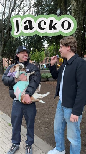 Entrevisando a Jacko: Un Beagle de 13 Años