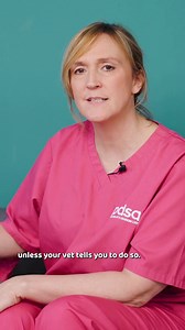 Can dogs eat chocolate? 🤔🍫 No, dogs should never be given chocolate. 🚫 Chocolate is made with cocoa solids, which contain a substance called theobromine. Theobromine is harmless to humans but toxic to dogs and other pets because they struggle to break it down. ⚠️ Chocolate can also contain a small amount of caffeine which can be harmful to pets. 😟 In this video, PDSA Vet Nurse, Nina, tells you the symptoms to keep an eye out for and what you should do if your furry friend gets their paws on 