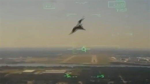 WATCH: US military releases footage of training jet striking bird and crashing
