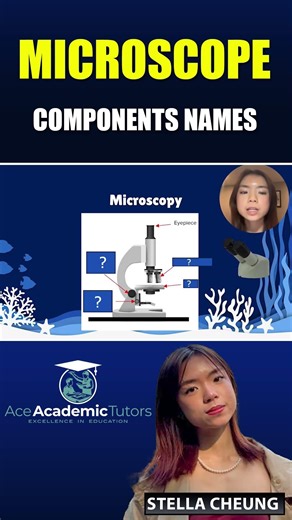 All Microscope Parts & Functions | Quick Science Guide | Ace Academic Tutors