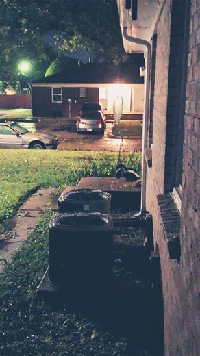 skunk rain hail oh my