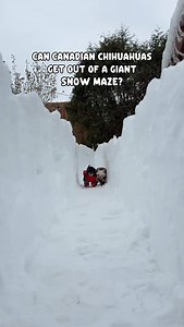142K views · 58K reactions | When snow walls are so heigh you can’t...