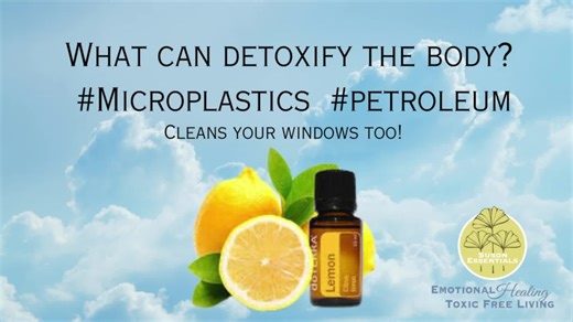 A clip from teaching at the Georgia Addiction Counseling Association. What Can detoxify The Brain and Body? This is just one way. Thank you to Kelly Moselle for the teaching assignment ! #GACA #SusonEssentials #ToxicFreeliving For entertainment purposes only 𝗦𝗲𝘁 𝘂𝗽 𝘆𝗼𝘂𝗿 𝗳𝗿𝗲𝗲 𝗰𝗼𝗻𝘀𝘂𝗹𝘁 𝗮𝗳𝘁𝗲𝗿 𝗰𝗼𝗺𝗽𝗹𝗲𝘁𝗶𝗻𝗴 𝘁𝗵𝗲 𝗹𝗶𝗳𝗲𝘀𝘁𝘆𝗹𝗲 𝗮𝘀𝘀𝗲𝘀𝘀𝗺𝗲𝗻𝘁. https://app.gohighlevel.com/v2/preview/VqNuw3r4gKKq9PjD0Ikk