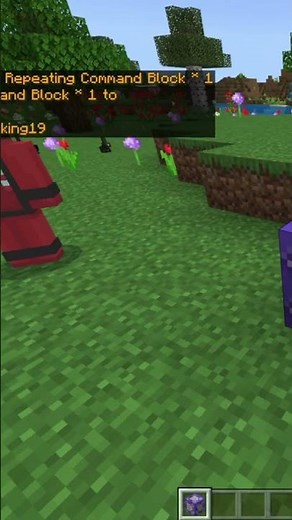 You can INFINITELY Kill Someone in Minecraft