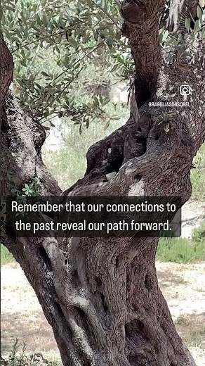 May we always choose to journey deeper in the things of a Yeshua. | Rabbi Jason Sobel