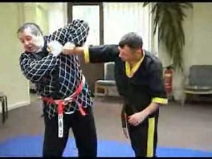 Trevor Roberts Ju Jitsu Nerve pressure point technique Dim Mak Death Touch