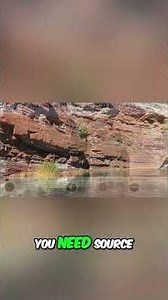 Canning Basin: Unlocking Australia's Secret Oil Frontier! #CanningBasin #Oil #Geology #Australia