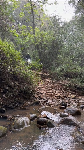 What just happened?! *Wrong answers only! -El Jefe #CDSR #Fail #crash #FYP | California Dual Sport Riders