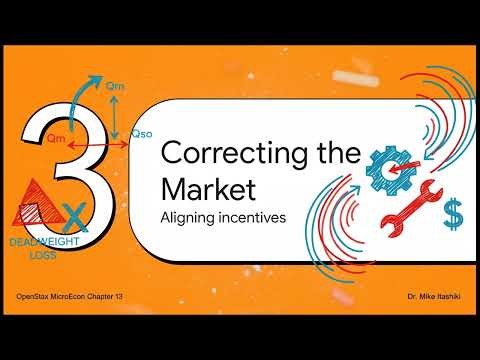 OpenStax MicroEconomics Ch13 Positive Externalities