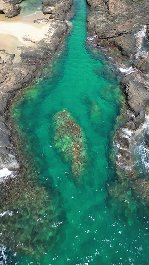 Explore the Best of Tobago: Island Beaches and Caribbean Paradise