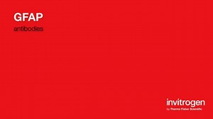 GFAP antibodies from Thermo Fisher Scientific