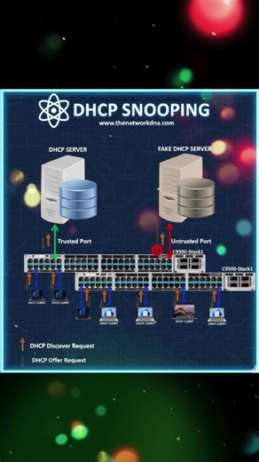 DHCP Snooping 🕹️ #education #networkengineers #creatorsearchinsights #networking #cybersecurity