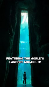 Take a look at the stunning new all-indoor SeaWorld Theme Park in Abu Dhabi! Featuring the World's Largest Aquarium! This place is amazing! | Theme Park Review
