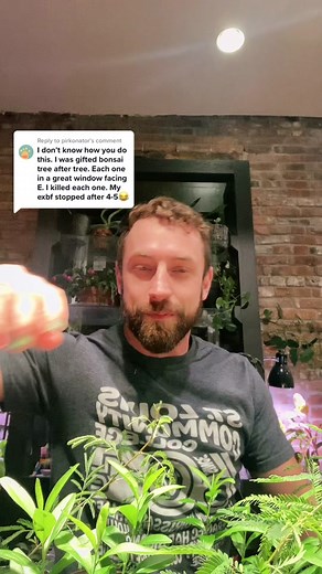 Beginner's Guide to Affordable Bonsai Gardening