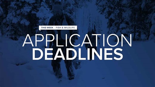 Upcoming application deadlines for Montana hunting licenses