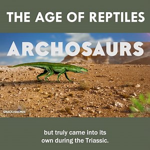 85K views · 2.3K reactions | The Age of Reptiles! | Eons • PBS | Facebook