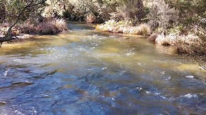 12K views · 281 reactions | Confluence of Lightning Creek (middle of screen) with Snowy Creek, Lightning Creek Campground (yesterday). Ern, 5/9/25. | Victorian Creeks and Rivers; Friends of Deep Creek | Facebook