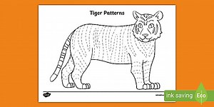 EYFS Tiger Patterns Pencil Control Activity