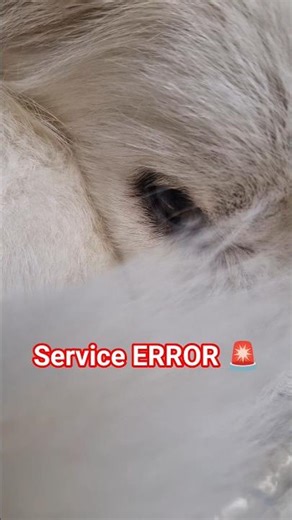 we're sorry....service error