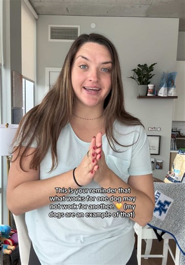 Understanding Dog Care in a Multi-Dog Household