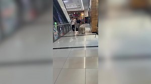 299K views · 12K reactions | El video viral de una mascota gigante en un shopping que cautivó a 280 millones de personas: “Nunca había visto algo así” | Primera Plana con Alejandra Forero | Facebook