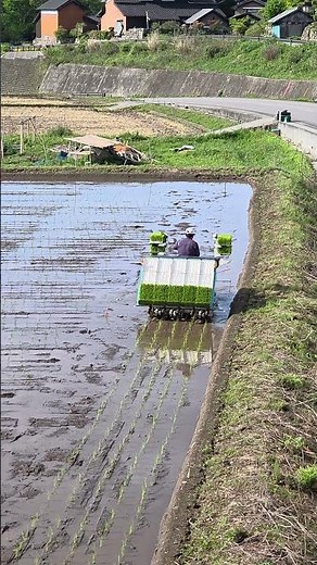 2026.5.2～にじのきらめき田植えの様子～外周は少し速度を落として植えています