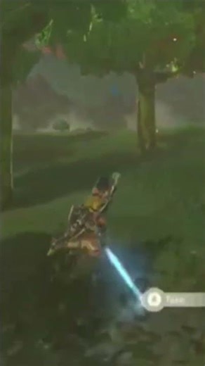 This Chicken does NOT belong in Hyrule Castle