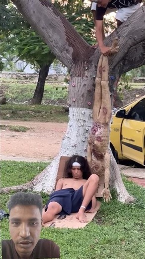 "Insane Tree Prank Gone Wrong! 😱😂 | Unexpected Creature Shock!" #funny #usa #shorts