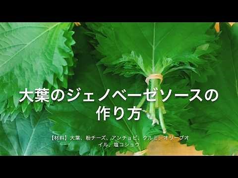大葉のジェノベーゼソースの作り方
