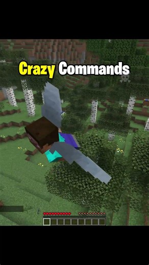 Minecraft Crazy Commands Moment 💀