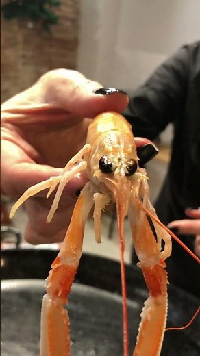 Norway lobster or langoustine. How to know if it's good?
