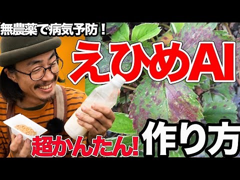【微生物の力】えひめAIの作り方と使い方の紹介【土壌改良】【病気予防】