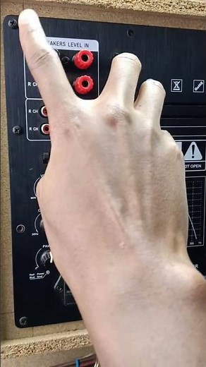 DIY Active Subwoofer using plate amplifier