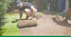 137K views · 593 reactions | Refresh your lawn with the best! The best turf varieties are exclusive to Lawn Solutions Australia turf suppliers. | Lawn Solutions Australia | Facebook