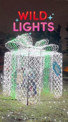 The Detroit Zoo has had a glow up! 🌟 Our first weekend of Wild Lights was a brilliant success! Now it's your turn to be wowed by millions of sparkling LED lights as you stroll through a mesmerizing light tunnel, explore a glowing field of lights and discover endless surprises at the wildest light show in town! 🎄🦁 Click to brighten up your night: https://ow.ly/5AzI50UfgJr Wild Lights is sponsored by Corewell Health Children’s. | Detroit Zoo