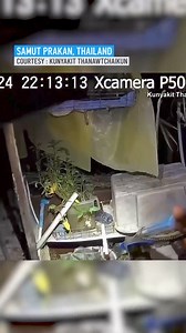 28K views · 96 reactions | A 64-year-old woman was preparing to do...