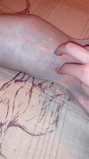 Fetch&FocusDogTraining on TikTok