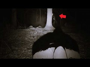 8 SCARY GHOST Videos That Are ABSOLUTELY CHILLING