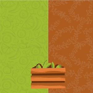 Want to start composting but not sure what actually goes in? We’ve got you. Here’s a quick guide to what you can and can’t compost — and the perfect composter to get you started 🌱 Good for your garden. Great for the planet. Ready to turn scraps into soil? 🌍✨ 👇 Tap to shop your new favorite composter! https://nuvella.shop/43-gallon-dual-chamber-compost-tumbler-bin-with-gardening-gloves/ #compost #composting #sustainableliving #ecofriendlyhome #homecomposting #zerowasteliving #greenliving #sust