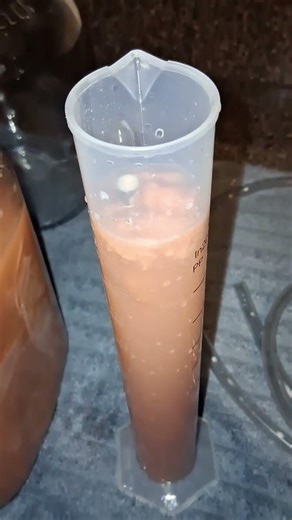 Making Strawberry Wine Part 2 (Racking process) #winemaking