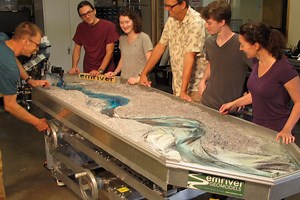 Emriver Em3 Stream Table | Little River Research & Design