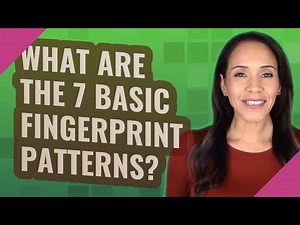 What are the 7 basic fingerprint patterns?