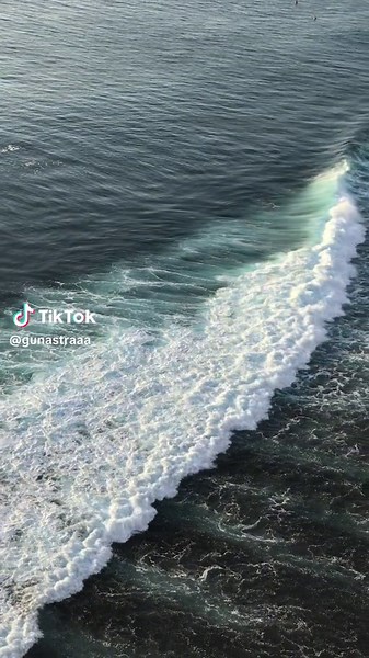 Favorite Lesson - English's Popular Subject Trend