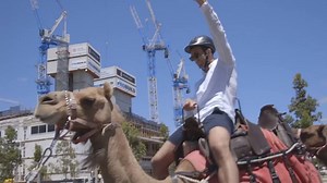 50K views · 134 reactions | Cards Against Humanity: UFC Edition? Luke Rockhold... On a Camel... at the UFC 221... Open Workouts! | UFC | Facebook