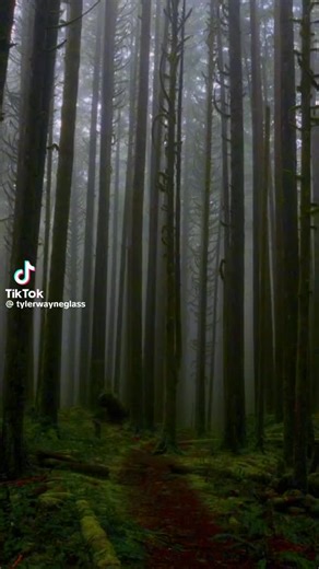 Zyra (@zyra_queen_)’s videos with original sound - Zyra