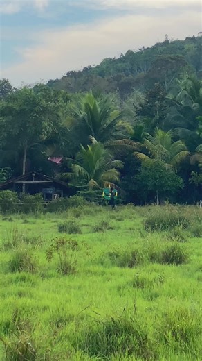 Exploring Wau Crafting in Kedah Darul Aman
